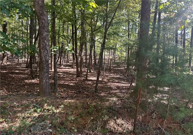 Photo 2 of Land for sale at Lt1351 Willow Ter, Jasper, GA 30143 | MLS# 7665342 | Listing updated on 2026-10-09