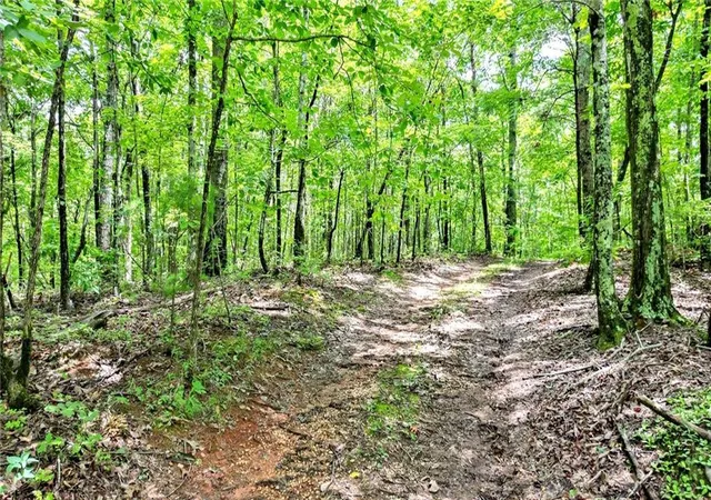 Photo 3 of Land for sale at 2383 Pine Crst Rd, Jasper, GA 30143 | MLS# 7763327 | Listing updated on 2026-09-08