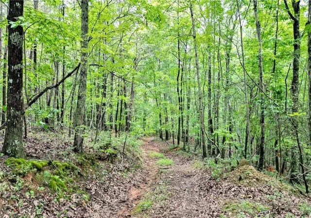 Photo 3 of Land for sale at 2383 Pine Crst Rd, Jasper, GA 30143 | MLS# 7763327 | Listing updated on 2026-09-08