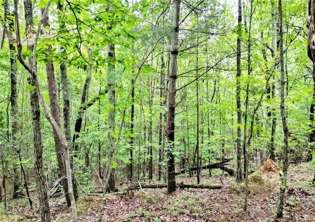 Photo 4 of Land for sale at 2383 Pine Crst Rd, Jasper, GA 30143 | MLS# 7763327 | Listing updated on 2026-09-08