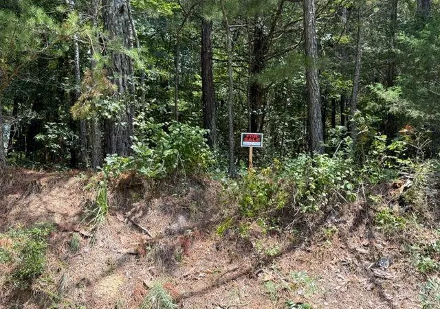 1st image of 0 Iron Hl Rd Lot 1, Taylorsville, GA 30178 | MLS# 7819999