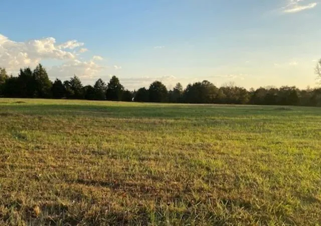 Photo 3 of Land for sale at 732 New Hope, Mcdonough, GA 30252 | MLS# 7514352 | Listing updated on 2026-05-10