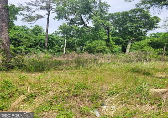 Photo 3 of Land for sale at 3340 Riggins Ml Rd, Macon, GA 31217 | MLS# 7772954 | Listing updated on 2026-07-27