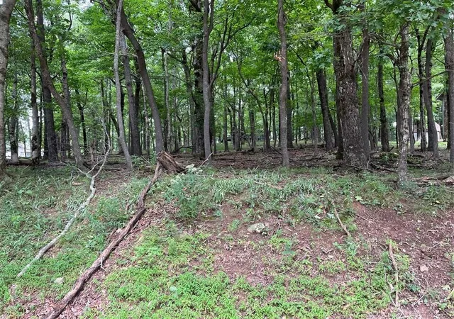 Photo 1 of Land for sale at 1918 Big Stump Mountain Trl, Jasper, GA 30143 | MLS# 7431099 | Listing updated on 2026-02-06