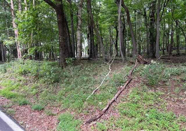 Photo 1 of Land for sale at 1918 Big Stump Mountain Trl, Jasper, GA 30143 | MLS# 7431099 | Listing updated on 2026-02-06