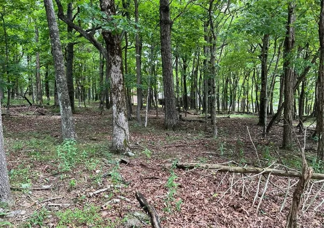 Photo 3 of Land for sale at 1918 Big Stump Mountain Trl, Jasper, GA 30143 | MLS# 7431099 | Listing updated on 2026-02-06