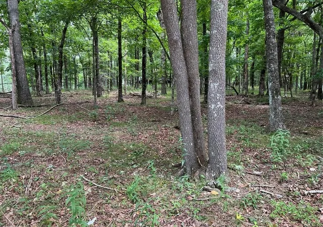 Photo 4 of Land for sale at 1918 Big Stump Mountain Trl, Jasper, GA 30143 | MLS# 7431099 | Listing updated on 2026-02-06