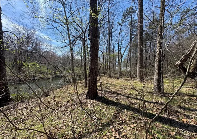 Homes for sale in Dahlonega, GA | 0 Lewis Grindle Road, Dahlonega, GA 30533 | MLS# 7765024