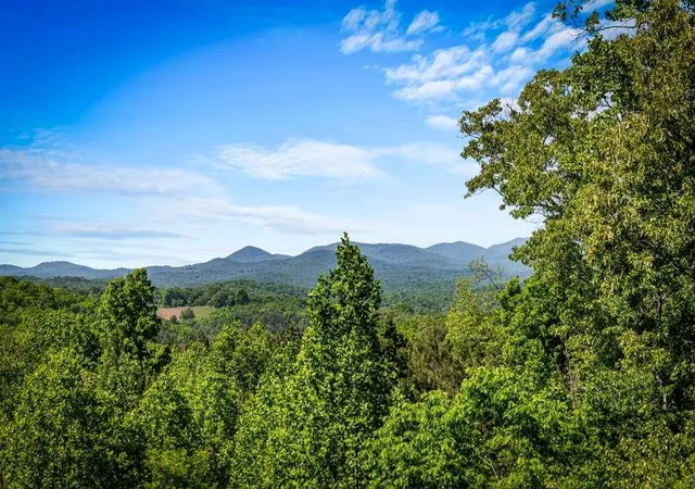 1st image of 479 Big Timber Rd, Mineral Bluff, GA 30559 | MLS# 7775547