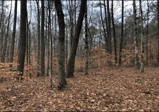 Photo 1 of Land for sale at 0 Clan St, Alpharetta, GA 30004 | MLS# 7505718 | Listing updated on 2026-09-30