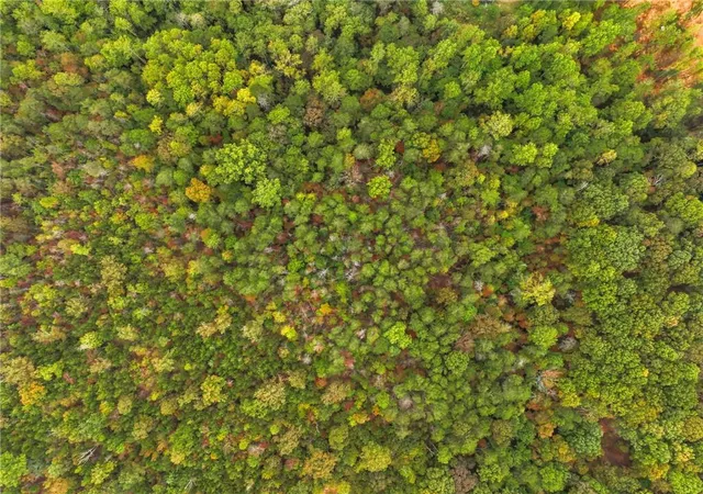 Photo 4 of Land for sale at 6418 Dawsonville Hwy, Dahlonega, GA 30533 | MLS# 7763100 | Listing updated on 2026-05-01
