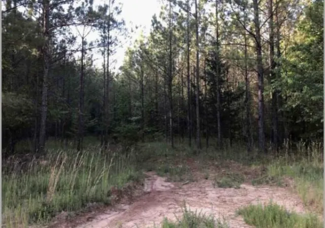 Homes for sale in Crawfordville, GA | 0 Lower Mill Rd, Crawfordville, GA 30631 | MLS# 7701529