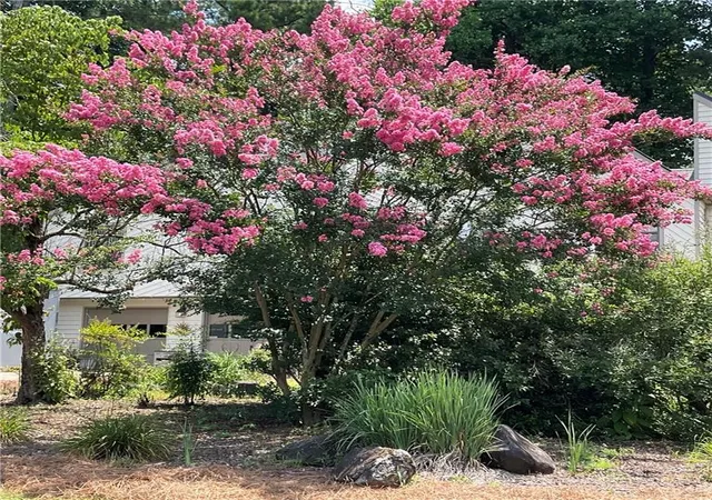 Photo 3 of Single family home for sale at 503 River Pl, Woodstock, GA 30188 | MLS# 7779595 | Listing updated on 2026-09-13