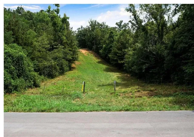 Photo 3 of Land for sale at 0 Hanes Rd, Oakman, GA 30732 | MLS# 7812188 | Listing updated on 2026-09-17