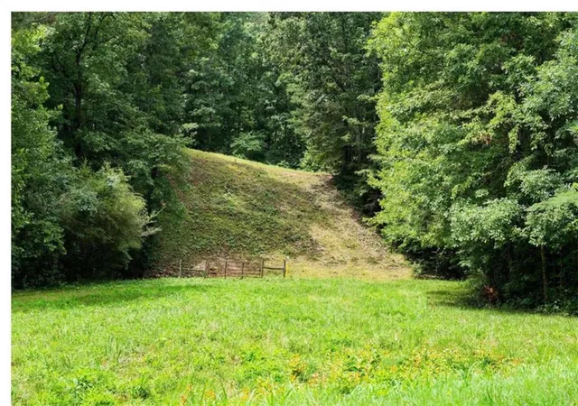 Photo 4 of Land for sale at 0 Hanes Rd, Oakman, GA 30732 | MLS# 7812188 | Listing updated on 2026-09-17
