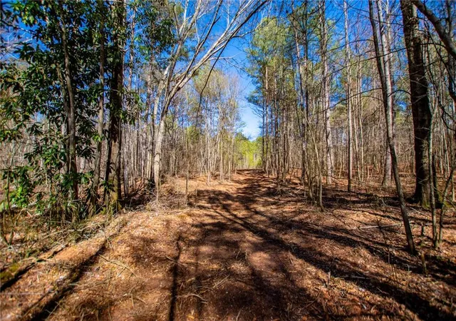 Photo 1 of Land for sale at 0 Hwy 166 E 21+ Acres, Bowdon, GA 30108 | MLS# 7829770 | Listing updated on 2026-08-31
