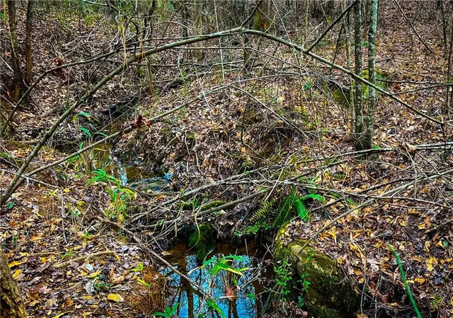 Photo 2 of Land for sale at 0 Hwy 166 E 21+ Acres, Bowdon, GA 30108 | MLS# 7829770 | Listing updated on 2026-08-31