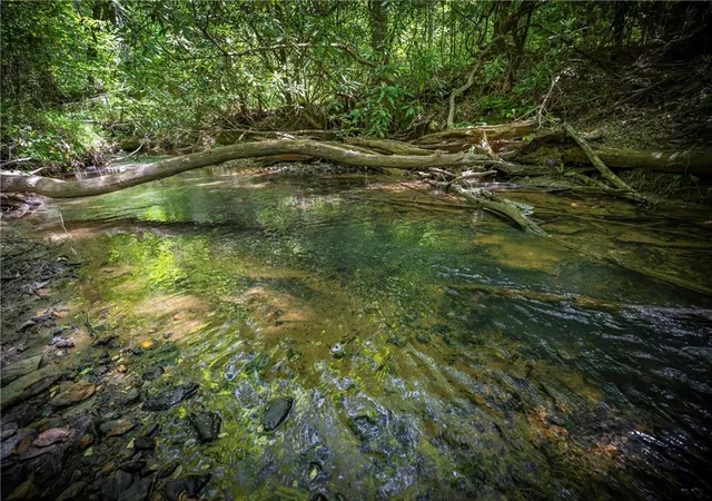 1st image of Lt1 1a Jonica Gap Rd, Mineral Bluff, GA 30559 | MLS# 7800022
