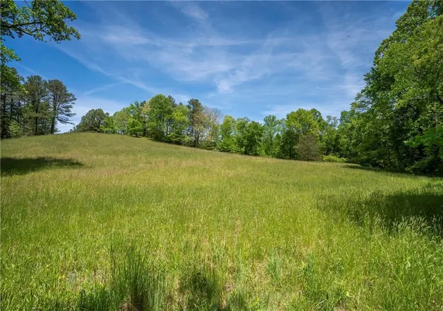3rd image of Lt1-1A Jonica Gap Rd, Mineral Bluff, GA 30559 | MLS# 7800022