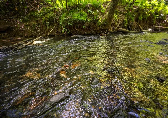 4th image of Lt1-1A Jonica Gap Rd, Mineral Bluff, GA 30559 | MLS# 7800022
