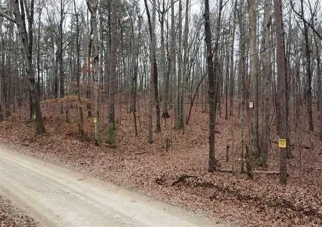 Photo 4 of Land for sale at 00 Treat Mountain Rd, Cedartown, GA 30125 | MLS# 7699759 | Listing updated on 2026-10-14