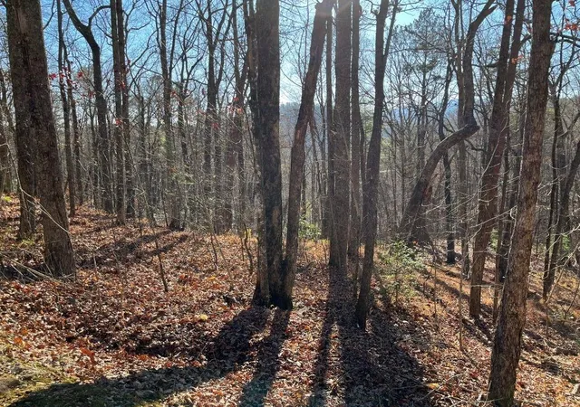 Photo 1 of Land for sale at Lot #1 Forest Canopy Way, Clayton, GA 30525 | MLS# 7829897 | Listing updated on 2026-09-01