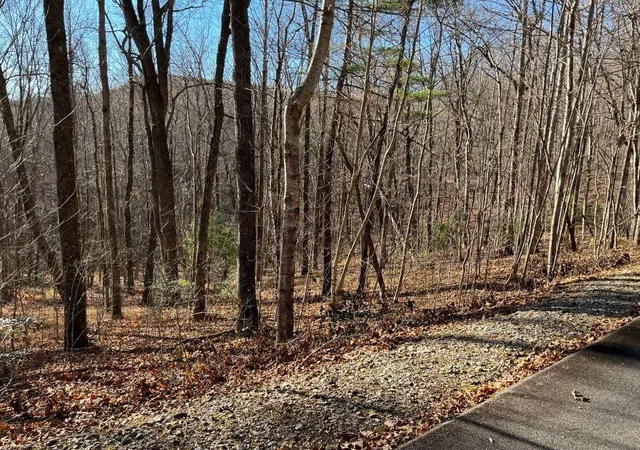 Photo 3 of Land for sale at Lot #1 Forest Canopy Way, Clayton, GA 30525 | MLS# 7829897 | Listing updated on 2026-09-01