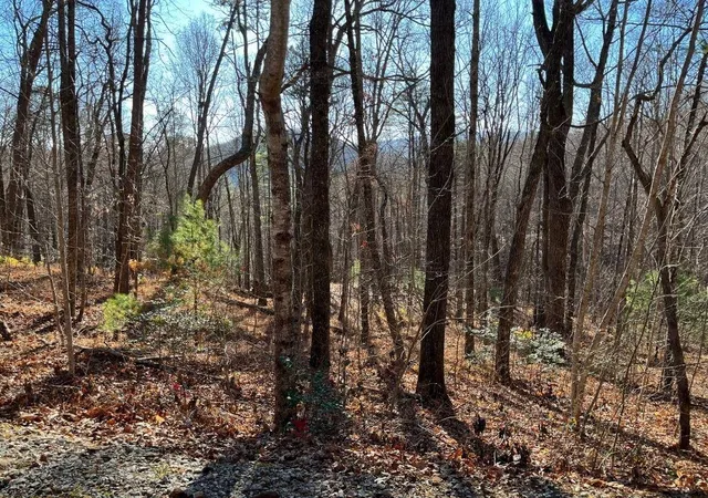 Photo 4 of Land for sale at Lot #1 Forest Canopy Way, Clayton, GA 30525 | MLS# 7829897 | Listing updated on 2026-09-01