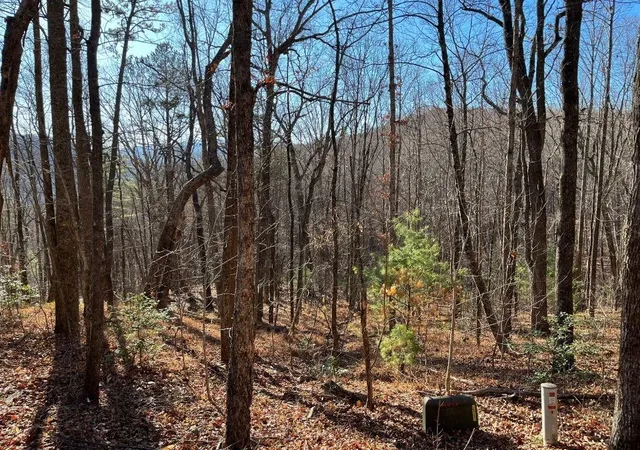 Photo 7 of Land for sale at Lot #1 Forest Canopy Way, Clayton, GA 30525 | MLS# 7829897 | Listing updated on 2026-09-01