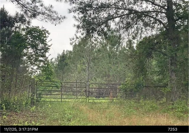 1st image of 0 Broad St, Sparta, GA 31087 | MLS# 7688731