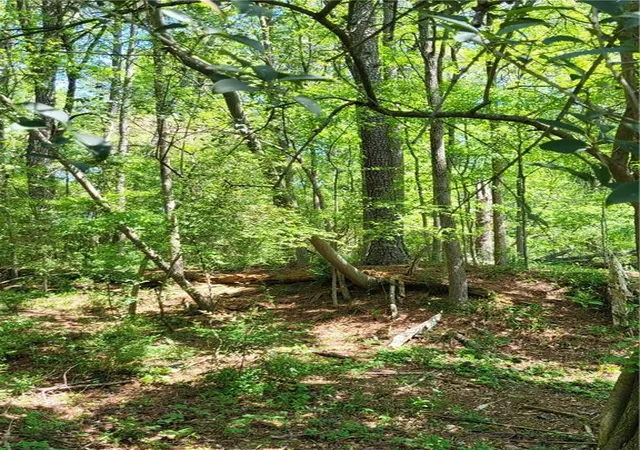 1st image of 0 Grove Park Nw, Atlanta, GA 30318 | MLS# 7744271