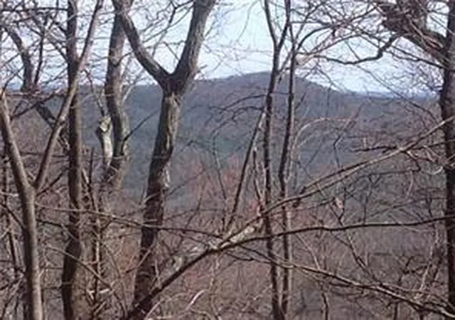 Photo 1 of Land for sale at 8112 Disharoon Dr, Jasper, GA 30143 | MLS# 7804188 | Listing updated on 2026-07-14