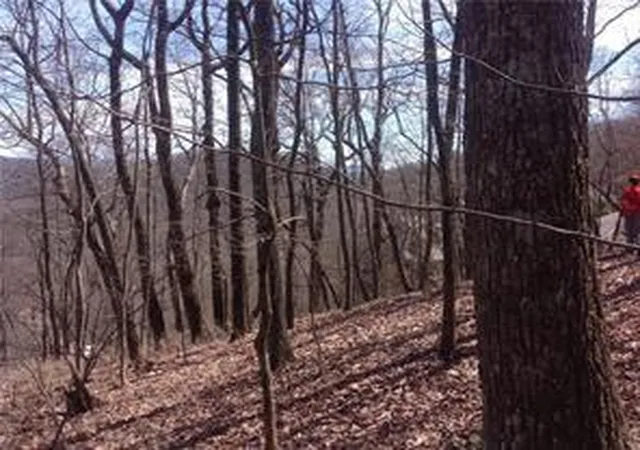 Photo 2 of Land for sale at 8112 Disharoon Dr, Jasper, GA 30143 | MLS# 7804188 | Listing updated on 2026-07-14