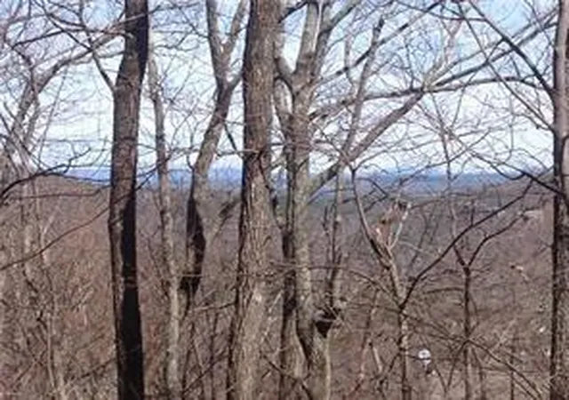 Photo 2 of Land for sale at 8112 Disharoon Dr, Jasper, GA 30143 | MLS# 7804188 | Listing updated on 2026-07-14