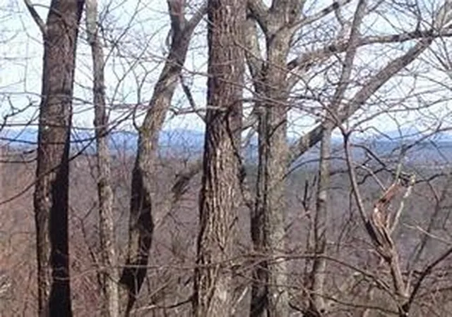 Photo 3 of Land for sale at 8112 Disharoon Dr, Jasper, GA 30143 | MLS# 7804188 | Listing updated on 2026-07-14