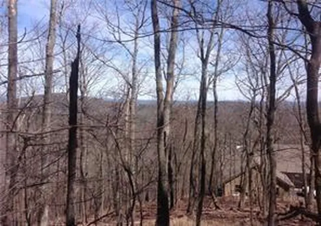 Photo 4 of Land for sale at 8112 Disharoon Dr, Jasper, GA 30143 | MLS# 7804188 | Listing updated on 2026-07-14