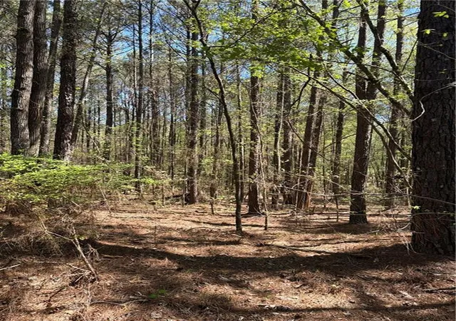 Photo 2 of Land for sale at Old Union Point Rd, Greensboro, GA 30642 | MLS# 7734833 | Listing updated on 2026-09-09
