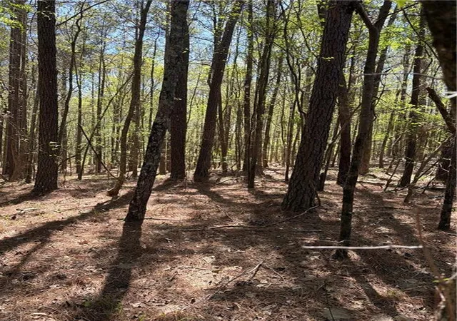 Photo 3 of Land for sale at Old Union Point Rd, Greensboro, GA 30642 | MLS# 7734833 | Listing updated on 2026-09-09