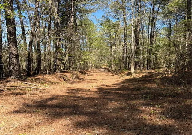 Photo 3 of Land for sale at Old Union Point Rd, Greensboro, GA 30642 | MLS# 7734833 | Listing updated on 2026-09-09