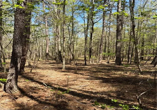 Photo 4 of Land for sale at Old Union Point Rd, Greensboro, GA 30642 | MLS# 7734833 | Listing updated on 2026-09-09