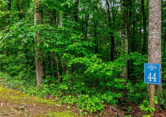 Homes for sale in Ellijay, GA | Lot 44 Harris Creek Dr, Ellijay, GA 30540 | MLS# 7708735