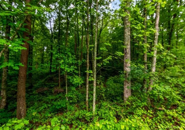 Homes for sale in Ellijay, GA | Lot 44 Harris Creek Dr, Ellijay, GA 30540 | MLS# 7708735