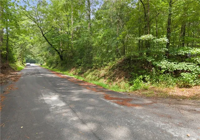 3rd image of 0 Pickett Bridge Rd, Covington, GA 30016 | MLS# 7812526