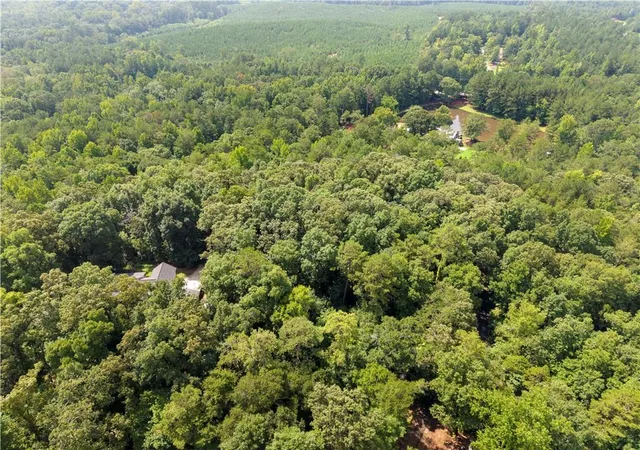 5th image of 0 Pickett Bridge Rd, Covington, GA 30016 | MLS# 7812526