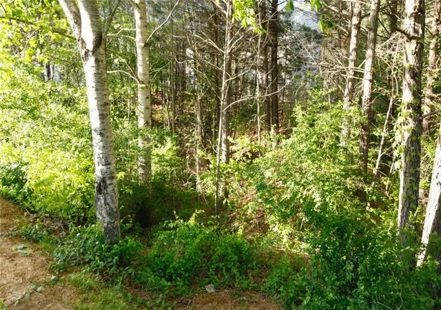Photo 1 of Land for sale at 0 Heritage Clb, Dallas, GA 30132 | MLS# 7798251 | Listing updated on 2026-08-11
