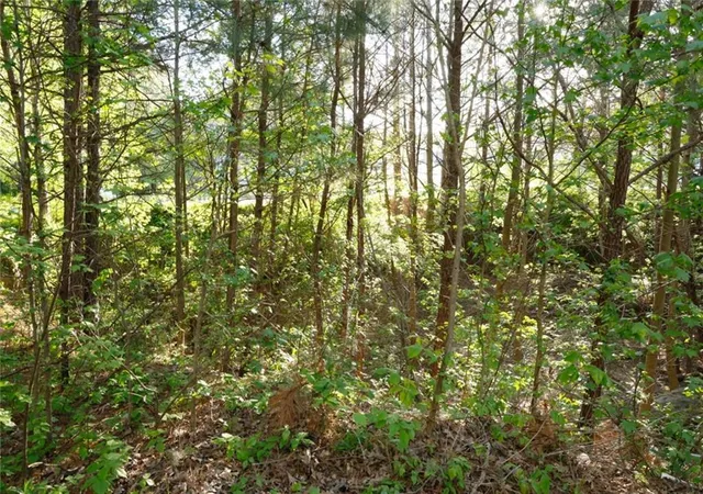 Photo 3 of Land for sale at 0 Heritage Clb, Dallas, GA 30132 | MLS# 7798251 | Listing updated on 2026-08-11