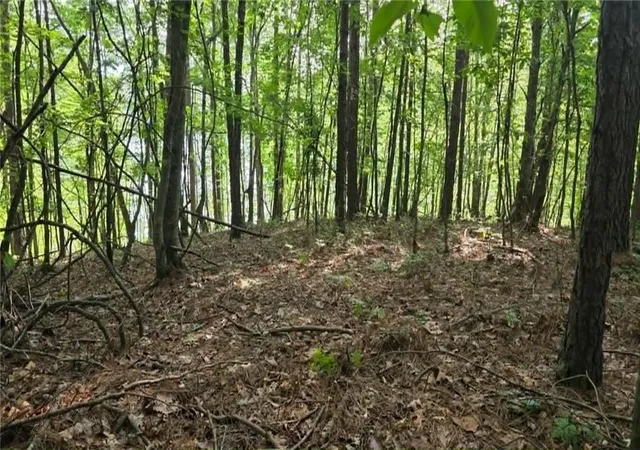 Photo 2 of Land for sale at 0 Lucas Ln, Dallas, GA 30132 | MLS# 7789335 | Listing updated on 2026-08-05
