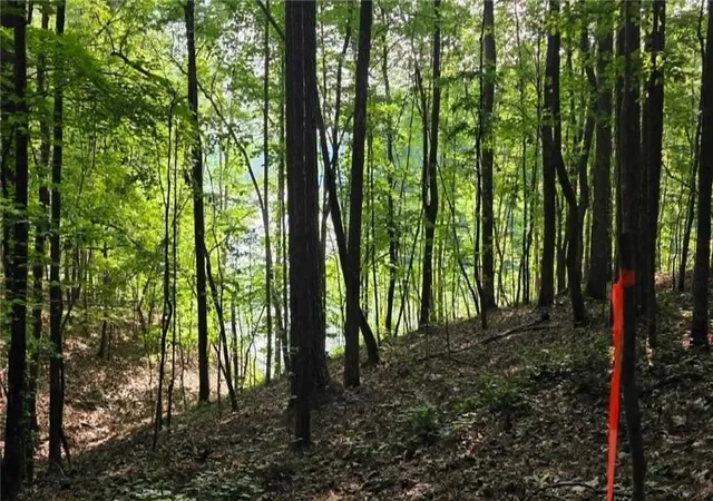 Photo 3 of Land for sale at 0 Lucas Ln, Dallas, GA 30132 | MLS# 7789335 | Listing updated on 2026-08-05