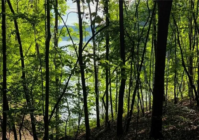 Photo 3 of Land for sale at 0 Lucas Ln, Dallas, GA 30132 | MLS# 7789335 | Listing updated on 2026-08-05
