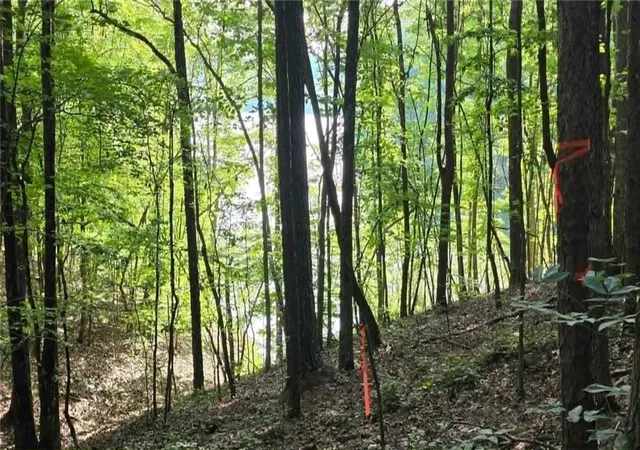 Photo 4 of Land for sale at 0 Lucas Ln, Dallas, GA 30132 | MLS# 7789335 | Listing updated on 2026-08-05